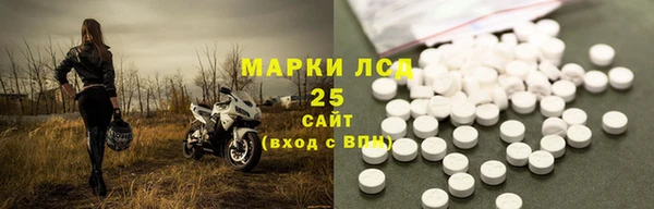 хмурый Алексин