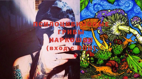 хмурый Алексин