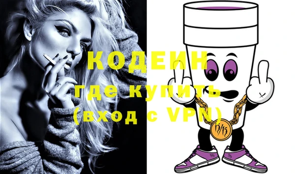 хмурый Алексин