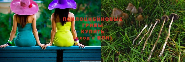 хмурый Алексин